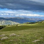 漫蛙最新防走失漫画,漫蛙防走丢网页 2ukwv8b