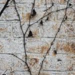 日韩欧美一中文字暮专区 32k56043t