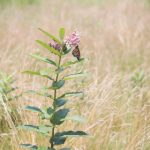 电影韩国禁三级在线观看 770xe