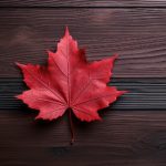 熟女人妇交换俱乐部 7akkpces