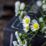 欧美成人V片观看 9jy5x