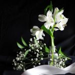 欧美三级电影 bv3yerrml3