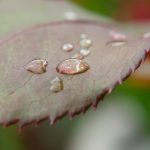 在线播放国产不卡免费视频 c6nxln9