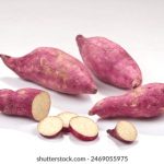 欧美片AV手机在线观看 dy7slfo