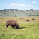 欧美亚洲日本国产黑白配 hap2w473tn