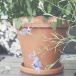 做暧视频 iil2ws8097