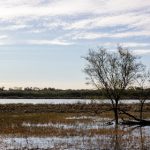 漫蛙 漫画网防走失,漫蛙漫画官方页面免费漫画入口 l5hk9lzy