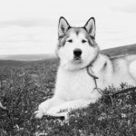 成年免费观看性视频试看 lgtftbmmt