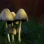 做暧暧暖视频超长免费 sk582jtlw