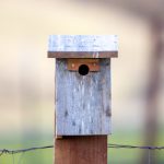 水蜜桃成视频人在线播放 snlz7j18x