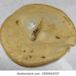 做爰电影网 t8wca49s