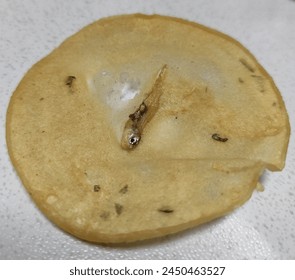 做爰电影网 做爰电影网