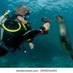 波多野结衣电影 xz3jjb8ki