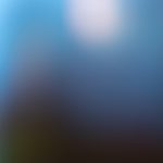 男女免费观看在线爽爽爽 ybmalxdd8e