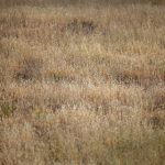 欧美观看免费全部完 z95e20j2m