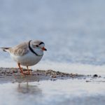 俺来也电影网 zydvvxrh