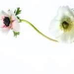 嫩草研究院ncyy22:探索年轻人的成长与发展新路径 0913nw