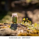 叽哩叽哩没了吗:探讨这一现象背后的原因与影响 221pa