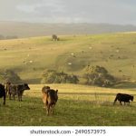 嫩草正在跳转,请稍后,精彩内容即将呈现! 5v84pe