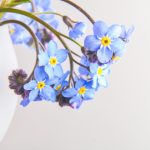 嫩草影院2020入口免费观看版:畅享高清影视,尽在指尖的影院体验 7yh7qiyp8