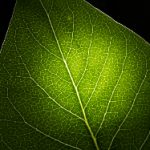 tbox academy:探索创新学习方式,提升个人与职业发展潜力 9ulaay2vd