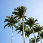 嫩草研究院一二三:探索青春与成长的奥秘 bz5cq87