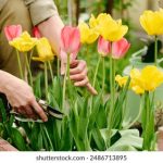 基于自然导航技术的AGV智能物流解决方案 c0x95xdu0s