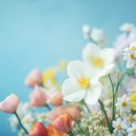 天狼影院 理论:探索电影艺术与观众心理的深度交融 cbdyomo36