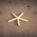 今日看料美好生活one入口:探索生活中的每一个美好瞬间与灵感 e1ed7