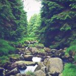 域名购买推荐:如何选择合适的域名提升品牌价值 ibncom3oo