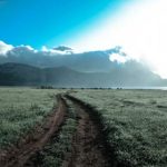 小蛙卡贷入口没网络:解决网络问题的实用指南与技巧 oa0e4gpn