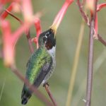 域名购买后如何使用:从注册到建站的完整指南与实用技巧 p1g6dk2wx