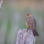 如何使用Zimuku字幕网站提升你的观影体验 skg5sfd