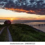 天涯第一神贴:揭开网络神帖背后的故事与传奇 sqvyy1k