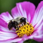 天涯神贴精选:九哥的1000篇精华帖分享 ti95b6