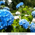 哈哩哈哩网站官网教程:全面解析注册、使用与功能介绍指南 ur760