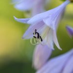 小视频免费在线观看:畅享海量优质短视频,随时随地乐享精彩! uvcw9