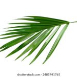 国产一线二线三线:探讨中国城市发展与消费市场的差异化趋势 vs412yr