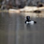 探索caoliushequ1024 VPN的安全性与使用技巧 3a7o0