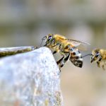 探索海角社区波解版:全新视角下的生活与互动 676sfkmjk