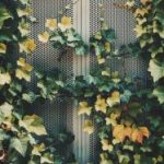 探索陈妮妮uni微密圈解压码的神秘世界 77546