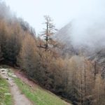 我的狐仙老婆动漫免费播放中文版:奇幻爱情与冒险的完美结合 8fgzrwv