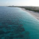 探索caoliu2022:网络文化与潮流趋势的深度解析 hddyd4