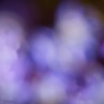 探索绅士漫画导航网:畅享多元漫画世界的最佳平台 hz4s3n