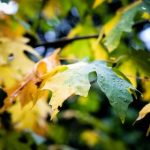 探索陈妮妮的微密圈:她的生活与创作之旅 iyv2lvsj4s