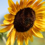 探索星辰影院官网:尽享最新电影资讯与精彩活动 j3m3z