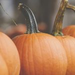 探索雅马哈ATV官方站点:获取最新产品与资讯 keywswooe6