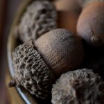 探索JMcomic1.4.6:全新漫画体验与精彩内容解析 ryqs7g5