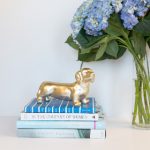 我的狐仙女友动漫全集:探索奇幻爱情与妖怪世界的奇妙旅程 ubx95