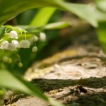 探索星空入口在线:开启宇宙奇妙之旅 v70k659jb0